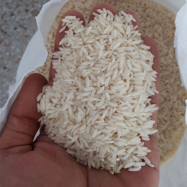 برنج امرالهی (بینام) کشت دوم فریدونکنار - برنج بهزاد - 5 کیلو
