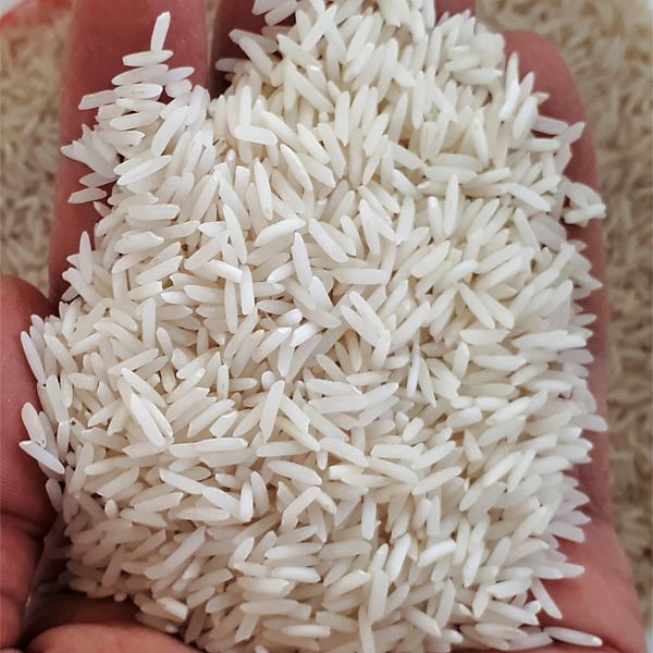 برنج شیرودی کشت اول فریدونکنار - برنج بهزاد - 10 کیلو	